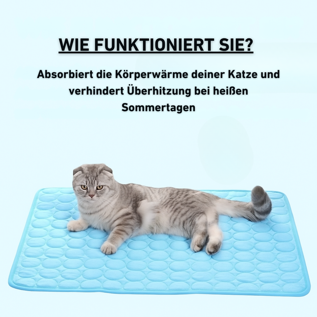 CooliCat - Das Original