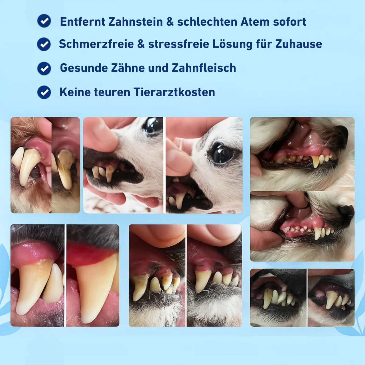 Zahnli - PflegeKit